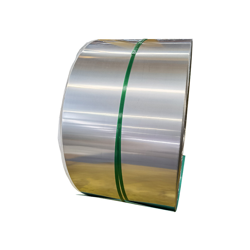 Customized Din Stainless Steel Coil Strip Roll 10mm 201 304 316 409 Ss 304